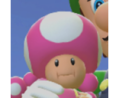 Toadette Render.png